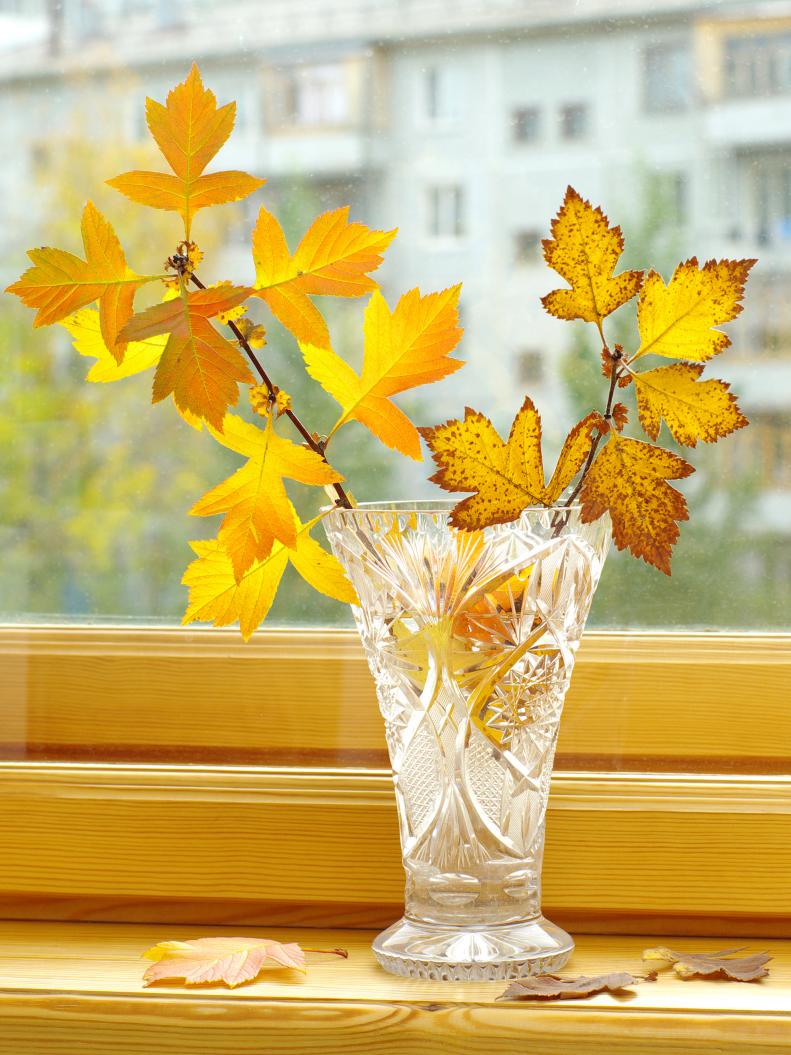 yellow autumn branch in bowl and leaf litter on window-sill